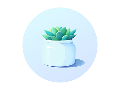 Succulent illustration