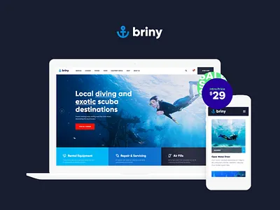 Briny | Scuba Diving & Water Sports WordPress Theme web design webdesign wordpress wordpress theme wordpress themes
