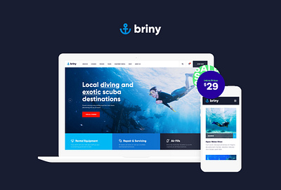 Briny | Scuba Diving & Water Sports WordPress Theme web design webdesign wordpress wordpress theme wordpress themes