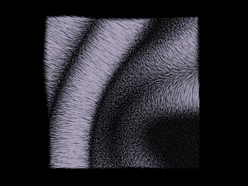 FURRY LOOP animal animation breathe furry gif hairs hairy hruska life loop love magnetic motion organic organic art pet pole