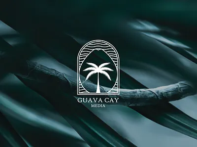 Branding & Identity Design : Guava Cay Media animation art direction branding concept art creative direction design digital illustration identity logo logo design logos logotype ui vector