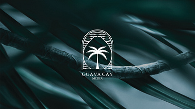 Branding & Identity Design : Guava Cay Media animation art direction branding concept art creative direction design digital illustration identity logo logo design logos logotype ui vector