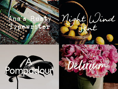 Font Sample Bundle 1 brush font calligraphy font design font handwriting font retro design sans serif font script font serif font typography