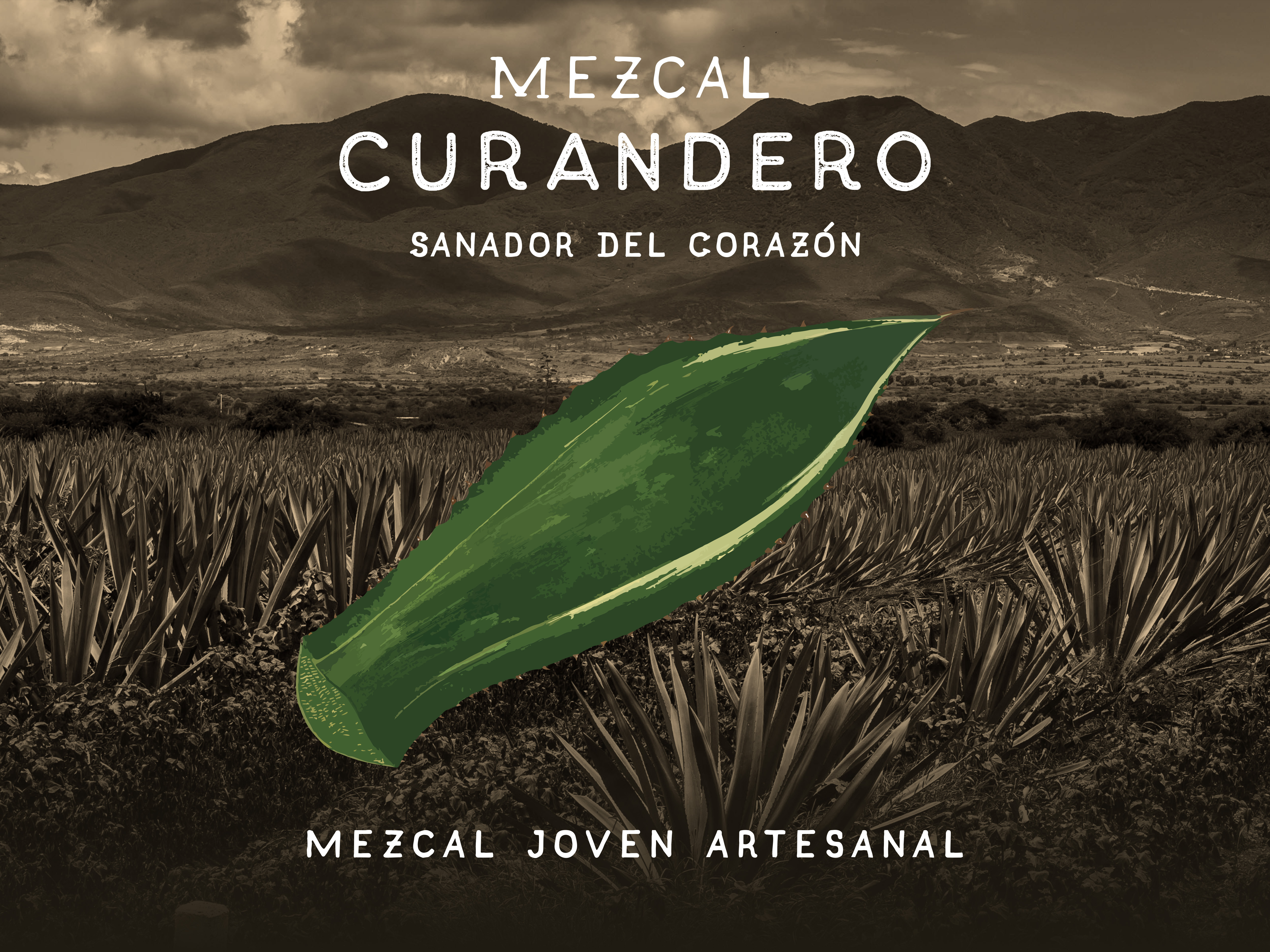 Example of Mezcal Curandero Logo2 Mockup Bottle