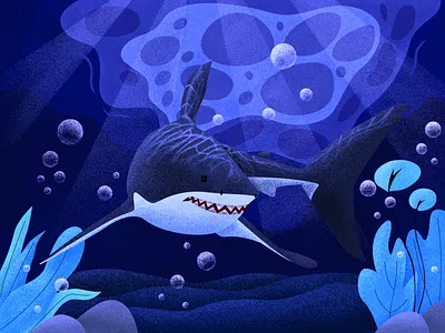 Shark app design icon ui vector 向量 活跃 设计