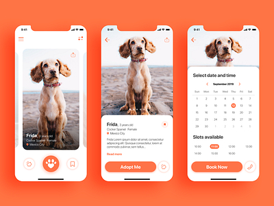 Pawner In Crime App adopt app clean color concept design dogs flat orange puppy ui ui design uidesign ux ux design uxdesign uxui