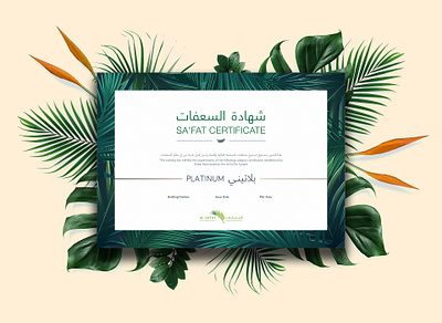 Sa'fat Certificate certificate flat graphic graphic design green plants tropical