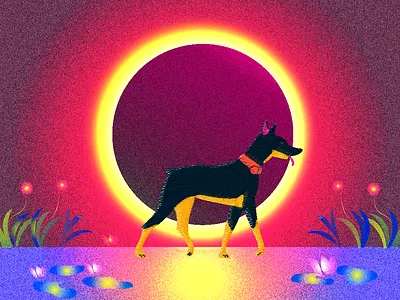 morning walk series_illustration animation branding clean design icon illustration minimal ui vector website