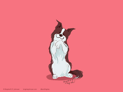 Border Collie animal art digital art digital illustration dog dog illustration doggust doggust2019 illustration limited colour palette limited colours