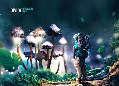 DIVINE - Mushrooms Land abstract animation bright colorfull creative design digital divine edited forest green illustration land manipulation mushrooms photoshop retouch shine