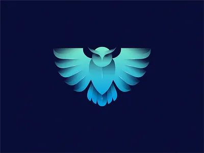 owl owl