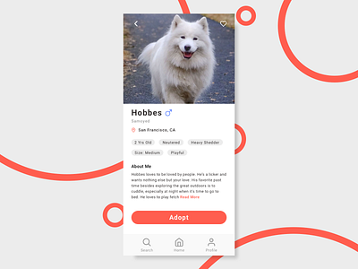 Daily UI #006 User Profile app mobile mobile ui pets profile sketchapp ui ui design ux ux design