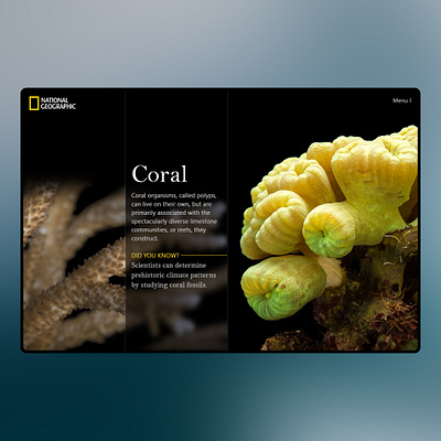 Daily UI - Coral coral dailyui national geographic