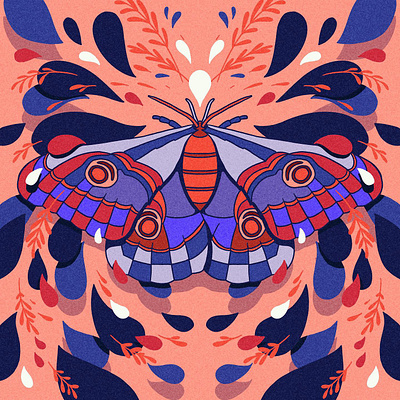 Moth Symmetry art butterfly design doodle draw drawing graphic graphic design graphicdesign hand drawn illustration illustrator moth procreate sketch sketchbook symmetry vector