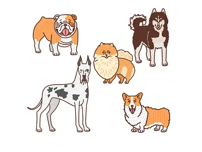 Dogs animal breed bulldog corgi dog dogs doodle graphic great dane hand drawn husky illustrator pet pomeranian vector