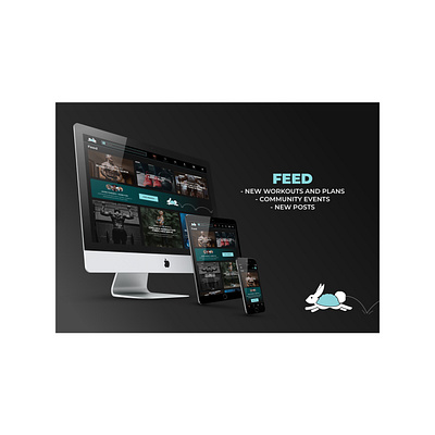 Tortoise Hare Fitness App app design fitness ui ui design ux uxdesign