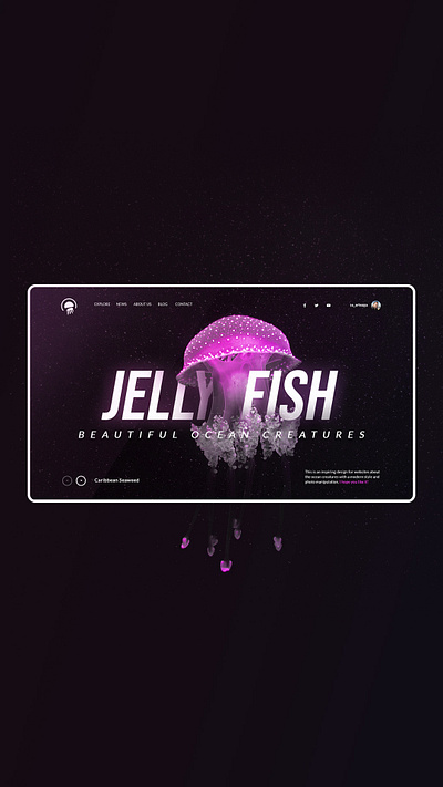 Jellyfish black creatires creative graphic design interaction interface jellyfish landing ocean photomanipulation web design webdesign