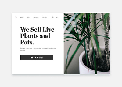 Shop Plants minimal minimal web design plants pots shop plants ui web design