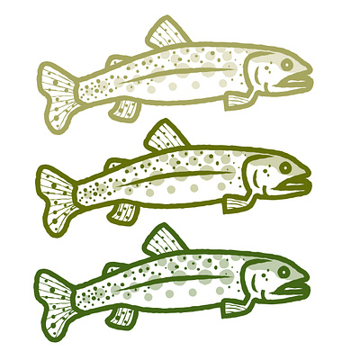 Green Fish adobe adobe illustrator fish fishing illustration illustrator