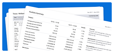 Portfolio summary report data dense export human readable pdf raw report summary