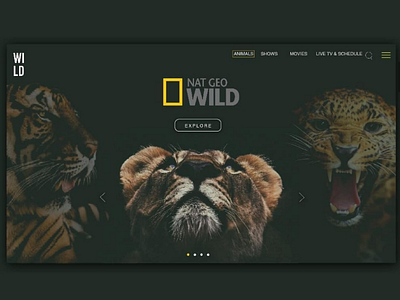 Nat Gio Wild animal animales explore landing natgeo nature ui ux web wild