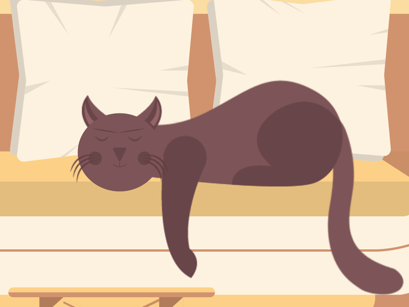 Sleeping cat 2019 2d animation ae aftereffects animation illustration vector