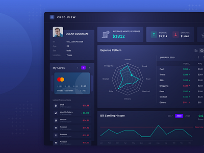 Credit Card Expense Tracker bill card clean credit card dashboad minimal spider graph ui