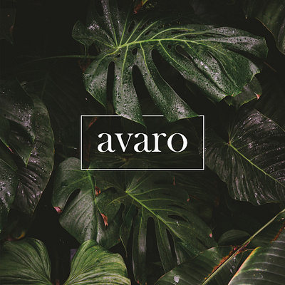 AVARO. Logo design brand identity branding design logo logo design logotipo