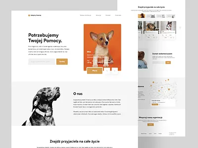 Animal adoption adobexd animal cat design dog help shelter training ui ui ux design uipractice ux web web deisgn website