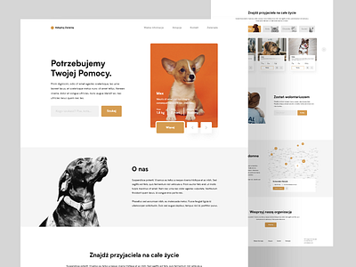 Animal adoption adobexd animal cat design dog help shelter training ui ui ux design uipractice ux web web deisgn website