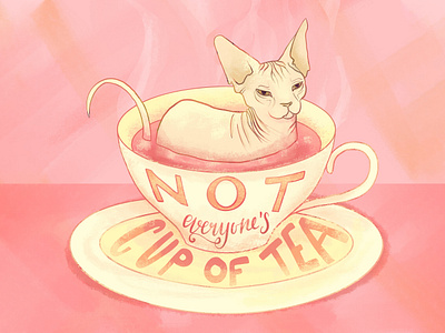 Not everyone's cup of tea - Sphynx Cat Illustration bubble gum pink cat illustration cute gouache illustration illustration digital naked cat procreate sphynx cat tea tea cup texture