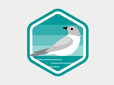 Flat Icon Design app art direction badge design branding design flat icon illustration ui vector