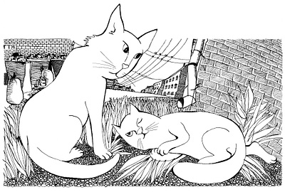 Boy turned into a cat meets a real cat. black and white book illustration cats childrens book childrens illustration fairy tale illustration ink