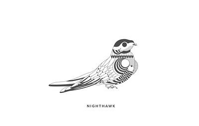 Nighthawk bird design details flat illustration pattern vector