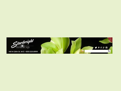 Web Banner banner banner design color digital graphic design marketing photography website