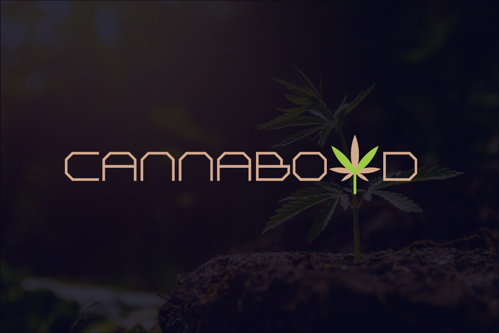 Example of Minimalist Business Logo