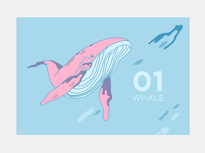 whale art illustration image painting vector vector art whale