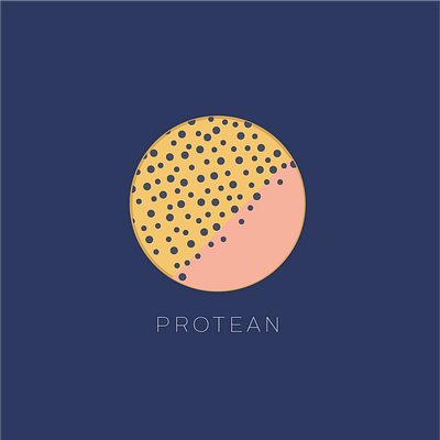 Protean branding design icon interaction design logo portfolio design selfbranding vector