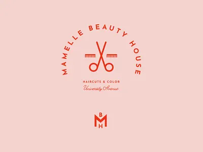 Salon Logo Concept brand design brand identity branding design icon logo monogram salon salon logo typography