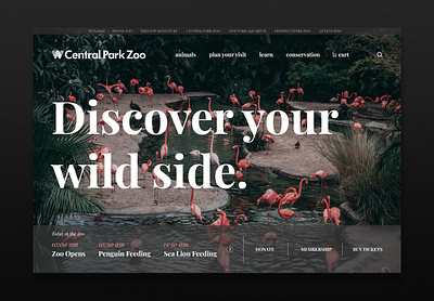 Central Park Zoo Page animal animals design graphic site ui ux zoo