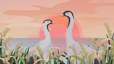 Return of the Cranes to Hamanoura 2d animation 2d illustration character design crane field japan lake mascot motion graphic rice sun sunrise sunset