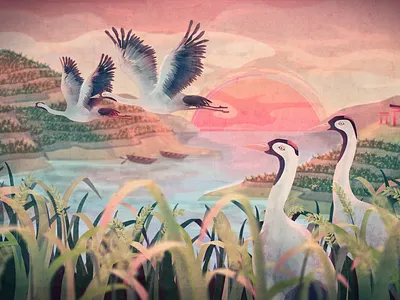 Return of the Cranes to Hamanoura 2d animation 2d illustration bird boat character design crane fly japan lake mascot motion graphic ricefield sunrise sunset