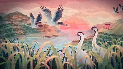 Return of the Cranes to Hamanoura 2d animation 2d illustration bird boat character design crane fly japan lake mascot motion graphic ricefield sunrise sunset