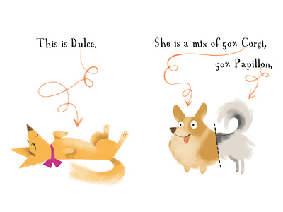This is Dulce... book illustration digital art digital painting illustration illustrations kid lit art photoshop puppy