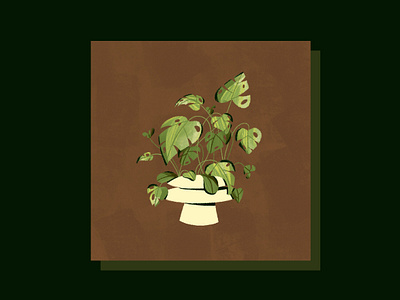 Greens design green houseplant illustration leaves natural nature photoshop plant plants texture