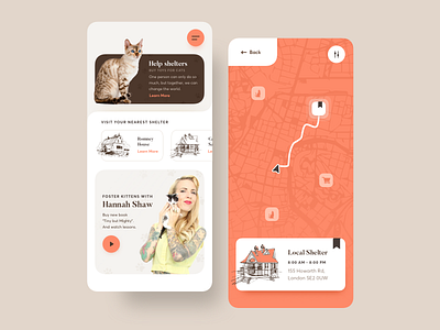 Adopt a cat app concept app app design branding bright color cat clean concept design minimal mobile sketch typography ui uiux ux vector web