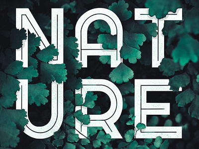 Nature handlettering lettering nature procreate texture type typo typography