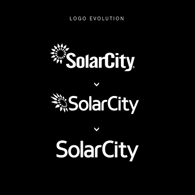 SolarCity branding brochure illustration logo logo design print design t shirt typography