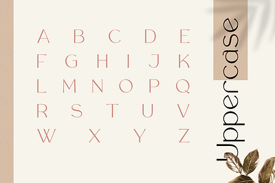 Rollgates Luxury Font design font font awesome logo typography