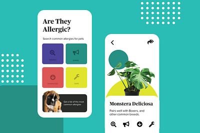 Monstera Deliciosa app app design